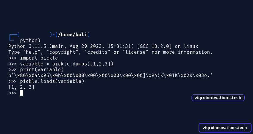 Python Serialization Vulnerabilities – Pickle