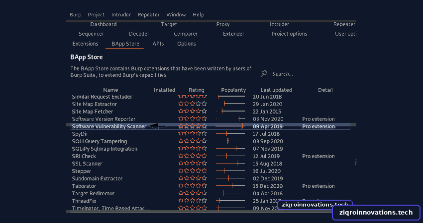 Burp Suite for Pentester: Software Vulnerability Scanner &amp; Retire.js