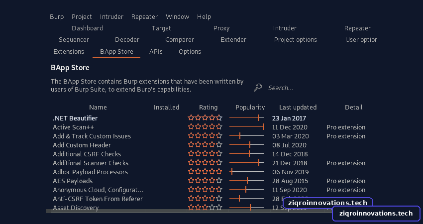Burp Suite for Pentester: Active Scan++